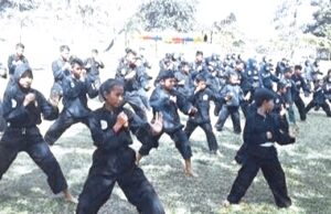 Nasib Prestasi, Seni dan Budaya Silat Kota Bogor akan ditentukan Dalam Muskot IPSI Mendatang