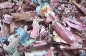 Viral !, Puluhan Juta Rupiah Disantap Rayap, Uang Bisa Ditukar di BI Dengan Syarat